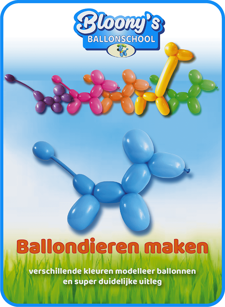 Verbazingwekkend Ballondieren Pakket - Ballonschool QW-24